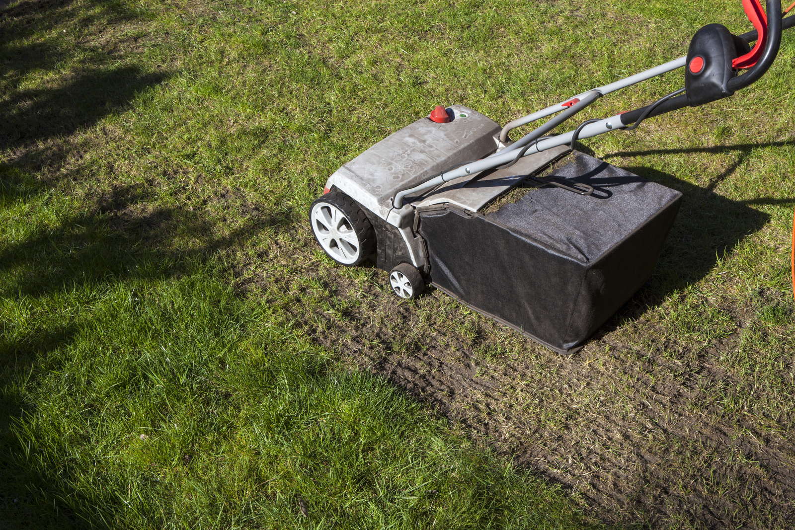 When to Verticut: Best Times for a Lush, Moss-Free Lawn